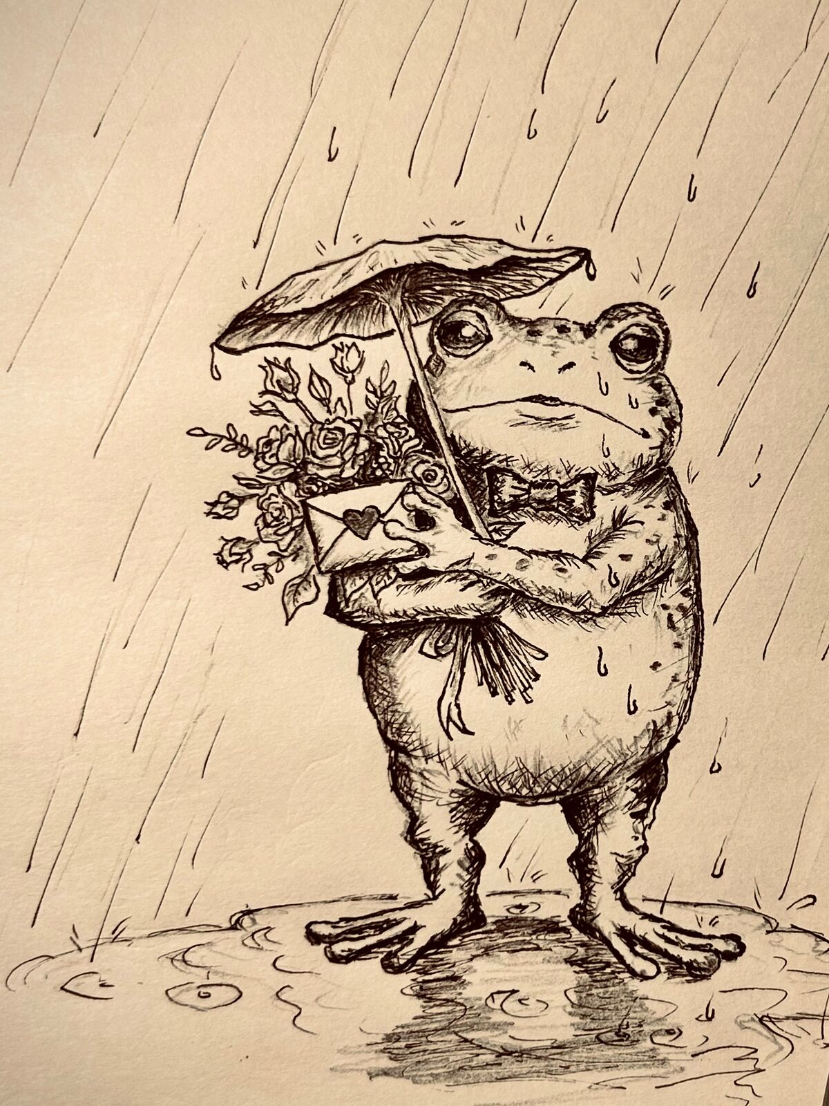 Pen and ink drawing over a pencil sketch: a frog standing on two legs in the rain, holding a leaf umbrella in one hand and hugging a bouquet and a letter sealed with heart-shaped wax to its chest with the other. It wears a bow tie; at its feet, a puddle with ripples and raindrops.