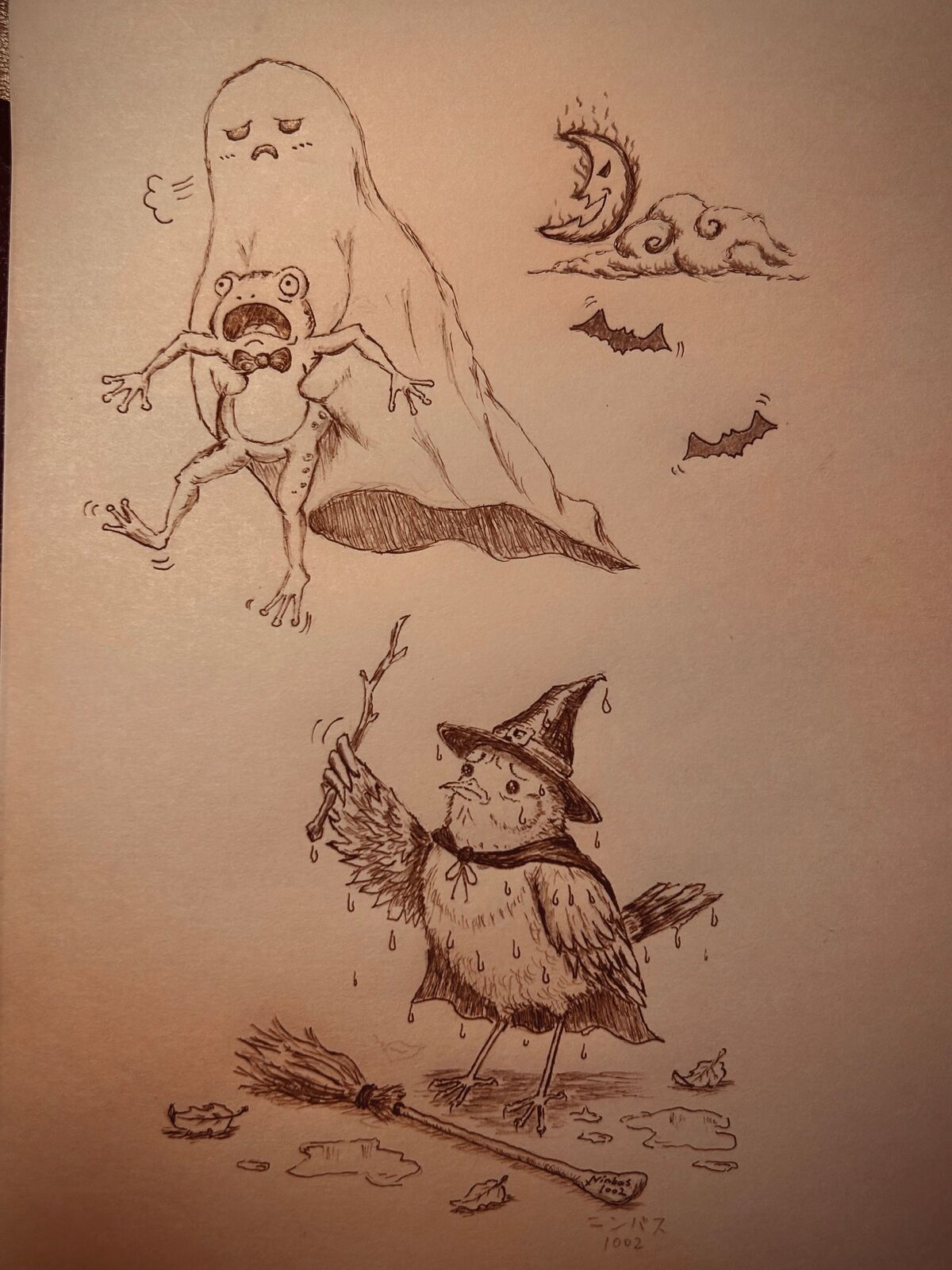 鉛筆とペンの絵：白いおばけが、さけぶカエルをかかえて、空へ。下で、びしょぬれの魔女の小鳥が杖をふる。ほうき、落ち葉、月、コウモリ。